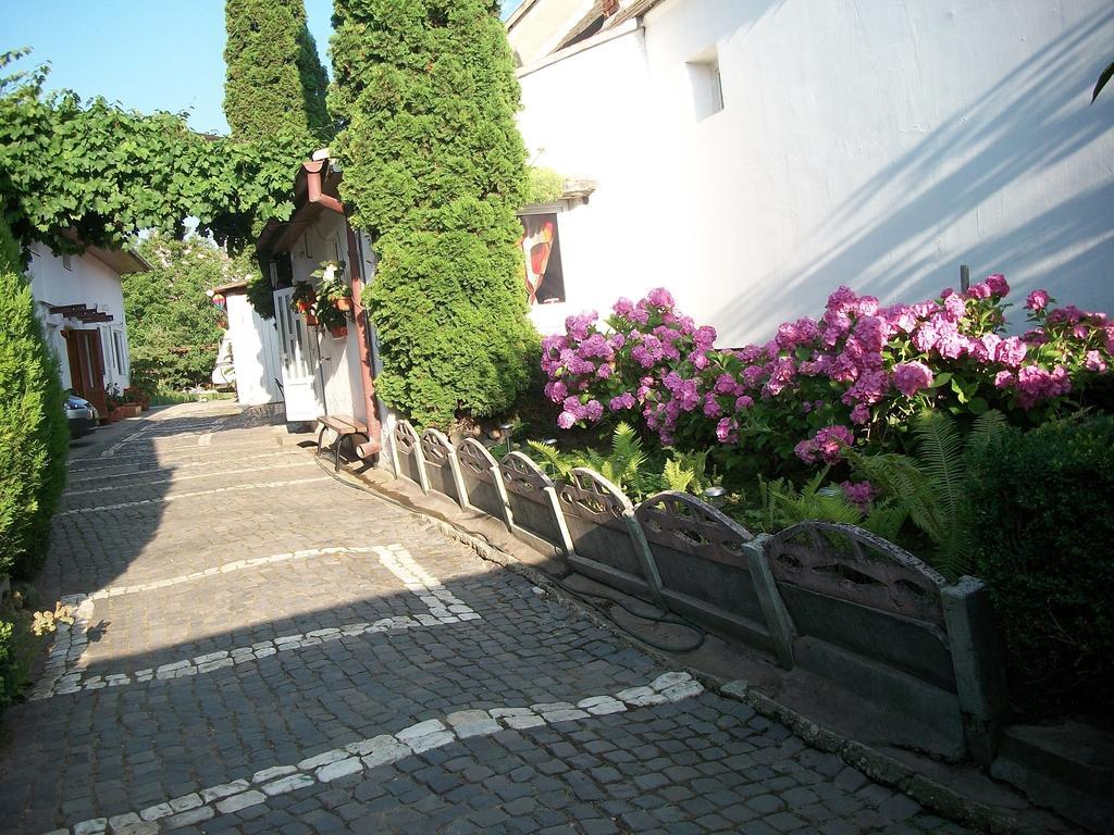 Hotel Casa Sara Săcele Esterno foto